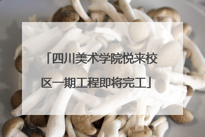 四川美术学院悦来校区一期工程即将完工