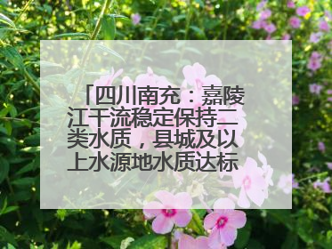 四川南充：嘉陵江干流稳定保持二类水质，县城及以上水源地水质达标率100%