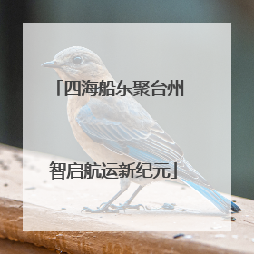 四海船东聚台州 智启航运新纪元