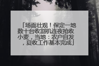 场面壮观！保定一地数十台收割机连夜抢收小麦，当地：农户自发，夏收工作基本完成