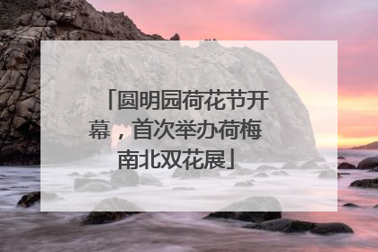 圆明园荷花节开幕，首次举办荷梅南北双花展