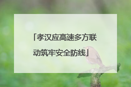 孝汉应高速多方联动筑牢安全防线