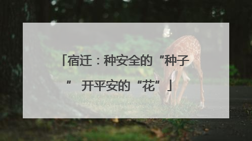 宿迁：种安全的“种子” 开平安的“花”