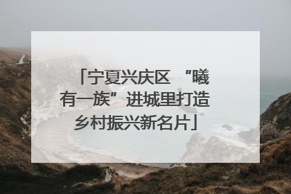 宁夏兴庆区 “曦有一族”进城里打造乡村振兴新名片