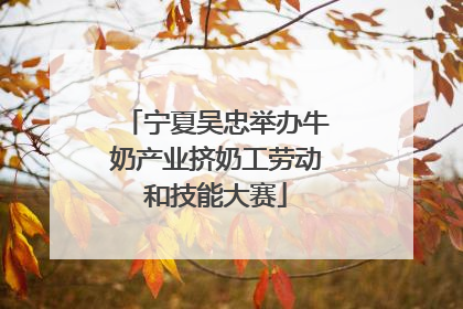 宁夏吴忠举办牛奶产业挤奶工劳动和技能大赛