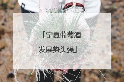 宁夏葡萄酒发展势头强