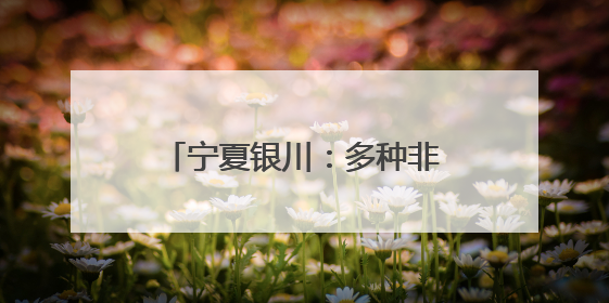 宁夏银川：多种非遗技艺引民众参观