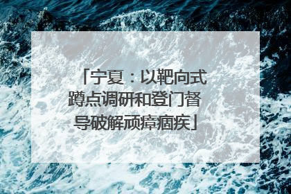 宁夏：以靶向式蹲点调研和登门督导破解顽瘴痼疾