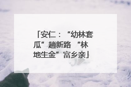 安仁：“幼林套瓜”趟新路 “林地生金”富乡亲