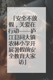 安全不放假，关爱在行动——庐江县同大镇农林小学开展暑假前安全教育大家访