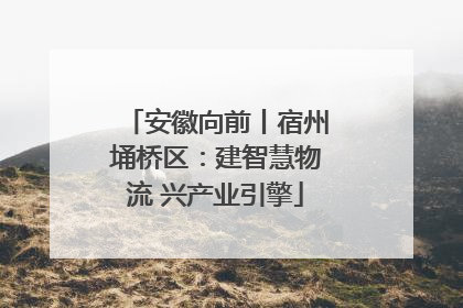 安徽向前丨宿州埇桥区：建智慧物流 兴产业引擎