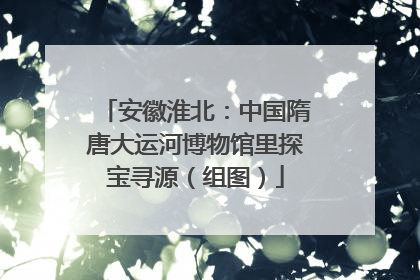 安徽淮北：中国隋唐大运河博物馆里探宝寻源（组图）
