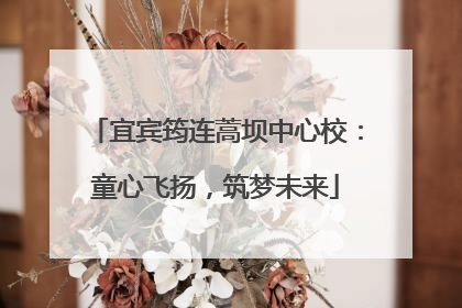 宜宾筠连蒿坝中心校：童心飞扬，筑梦未来