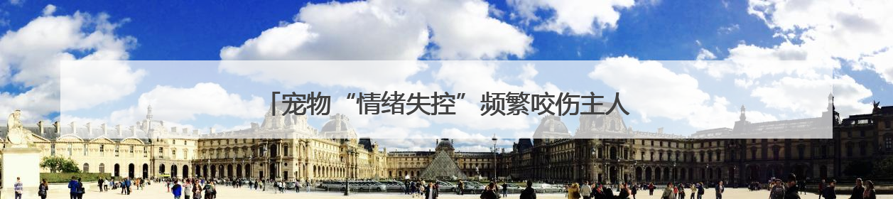 宠物“情绪失控”频繁咬伤主人 医生：宠物夏季易情绪中暑
