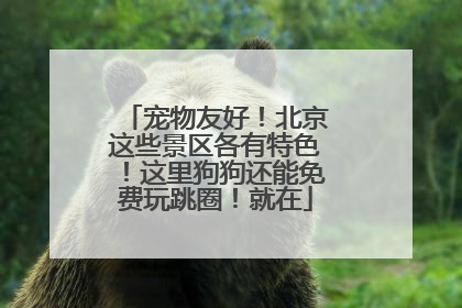 宠物友好！北京这些景区各有特色！这里狗狗还能免费玩跳圈！就在