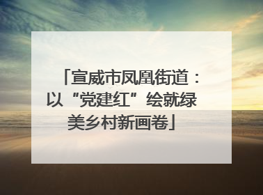 宣威市凤凰街道：以“党建红”绘就绿美乡村新画卷