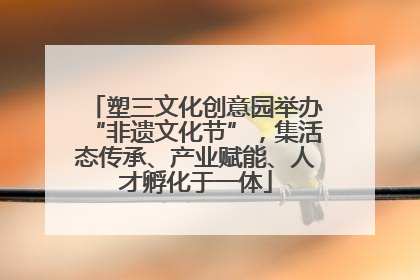 塑三文化创意园举办“非遗文化节”，集活态传承、产业赋能、人才孵化于一体