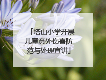 塔山小学开展儿童意外伤害防范与处理宣讲