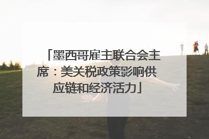 墨西哥雇主联合会主席：美关税政策影响供应链和经济活力