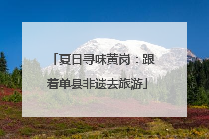 夏日寻味黄岗：跟着单县非遗去旅游