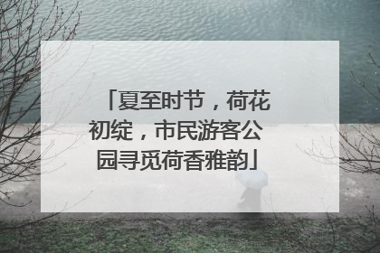 夏至时节，荷花初绽，市民游客公园寻觅荷香雅韵