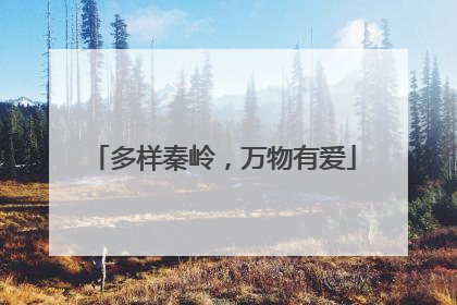 多样秦岭，万物有爱