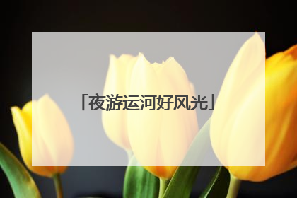 夜游运河好风光