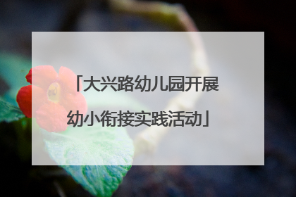大兴路幼儿园开展幼小衔接实践活动