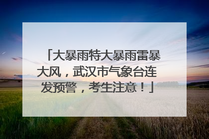 大暴雨特大暴雨雷暴大风，武汉市气象台连发预警，考生注意！
