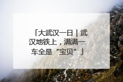大武汉一日｜武汉地铁上，满满一车全是“宝贝”