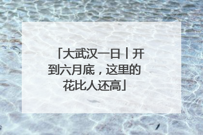 大武汉一日︱开到六月底，这里的花比人还高