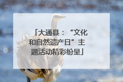 大通县：“文化和自然遗产日”主题活动精彩纷呈