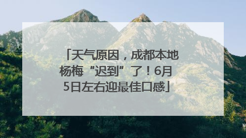 天气原因，成都本地杨梅“迟到”了！6月5日左右迎最佳口感