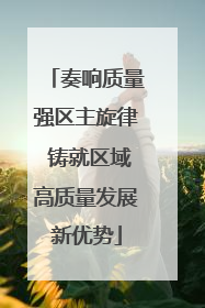 奏响质量强区主旋律 铸就区域高质量发展新优势