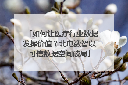 如何让医疗行业数据发挥价值？北电数智以可信数据空间破局