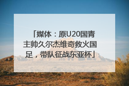 媒体：原U20国青主帅久尔杰维奇救火国足，带队征战东亚杯
