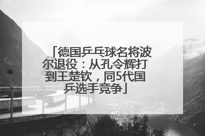 德国乒乓球名将波尔退役：从孔令辉打到王楚钦，同5代国乒选手竞争