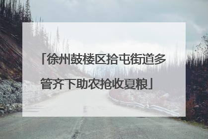 徐州鼓楼区拾屯街道多管齐下助农抢收夏粮