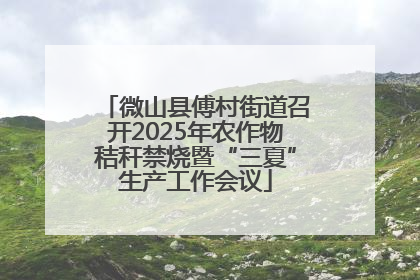 微山县傅村街道召开2025年农作物秸秆禁烧暨“三夏”生产工作会议
