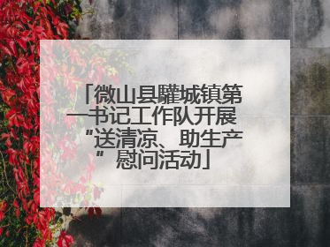 微山县驩城镇第一书记工作队开展“送清凉、助生产”慰问活动