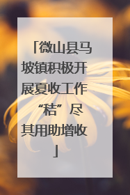 微山县马坡镇积极开展夏收工作 “秸”尽其用助增收