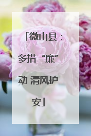 微山县：多措“廉”动 清风护安