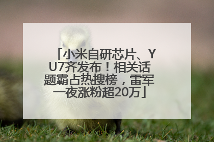 小米自研芯片、YU7齐发布！相关话题霸占热搜榜，雷军一夜涨粉超20万
