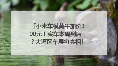 小米车模黄牛加价300元！实车本周到店？大湾区车展将亮相