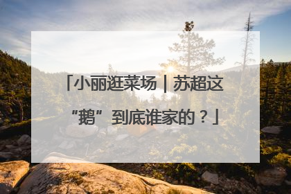 小丽逛菜场｜苏超这“鹅”到底谁家的？