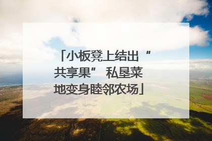 小板凳上结出“共享果” 私垦菜地变身睦邻农场