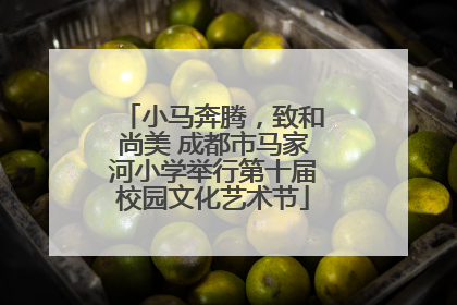 小马奔腾，致和尚美 成都市马家河小学举行第十届校园文化艺术节