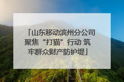 山东移动滨州分公司聚焦“打猫”行动 筑牢群众财产防护堤