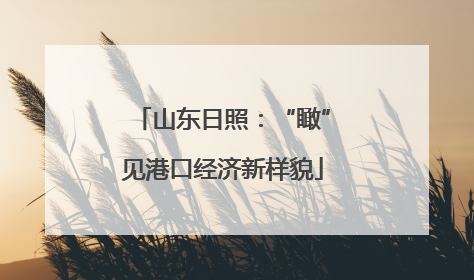 山东日照：“瞰”见港口经济新样貌