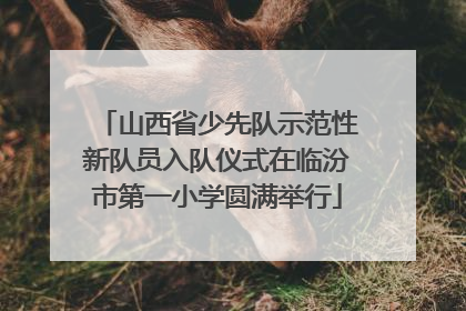 山西省少先队示范性新队员入队仪式在临汾市第一小学圆满举行